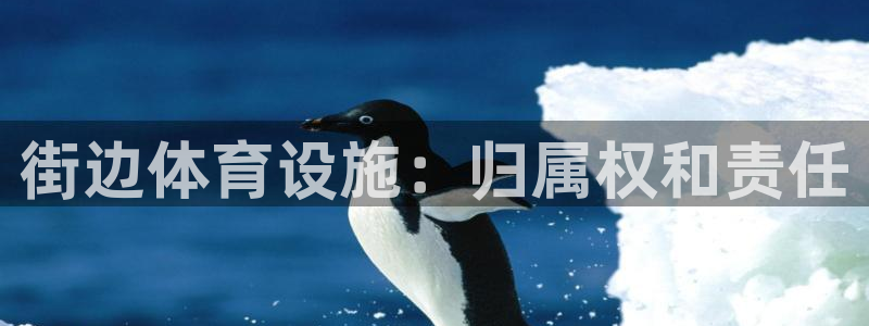 注册意昂3：街边体育设施：归属权和责任