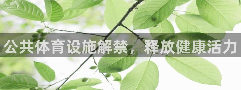 注册意昂3：公共体育设施解禁，释放健康活力