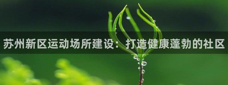 意昂体育3平台注册流程视频：苏州新区运动场所建设：打