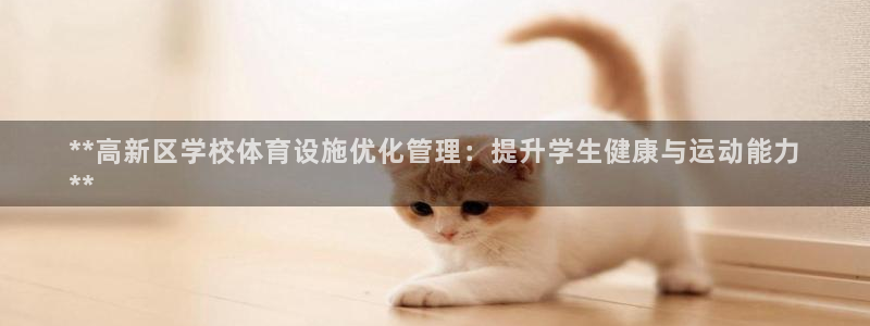 意昂3娱乐下载：**高新区学校体育设施优化管理：提升
