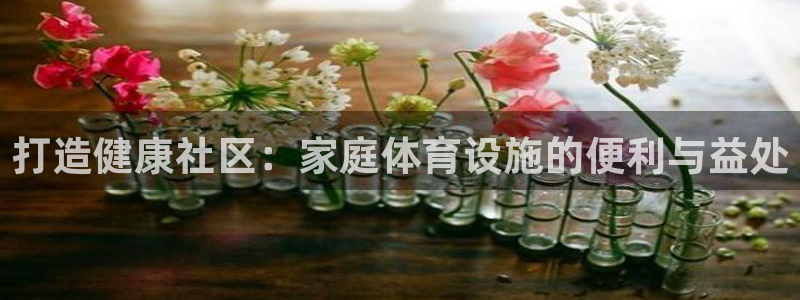 意昂3娱乐40996：打造健康社区：家庭体育设施的便