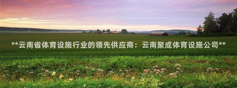 意昂体育3招商电话是多少：**云南省体育设施行业的领