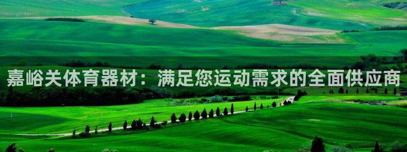 意昂3五金厂：嘉峪关体育器材：满足您运动需求的全面供