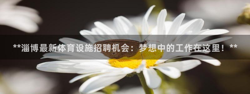 意昂体育3平台注册要钱吗是真的吗：**淄博最新体育设