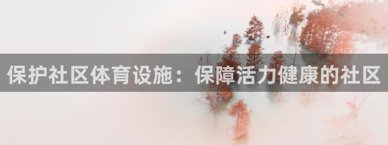 意昂体育3招商电话地址是多少：保护社区体育设施：保障