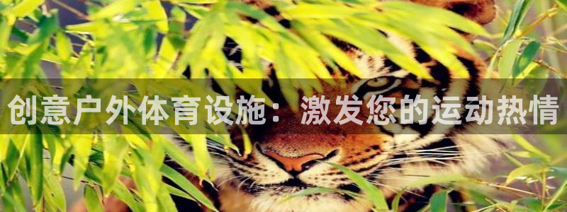 海南意昂体育3发展怎么样：创意户外体育设施：激发您的