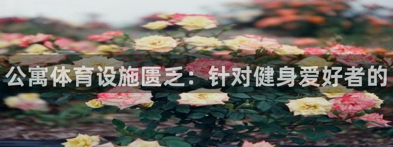 意昂体育3招商电话地址：公寓体育设施匮乏：针对健身爱