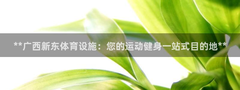 意昂3集团官网首页：**广西新东体育设施：您的运动健