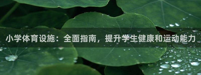 意昂体育3招商电话号码是多少啊：小学体育设施：全面指