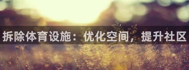 意昂3集团E.ON：拆除体育设施：优化空间，提升社区