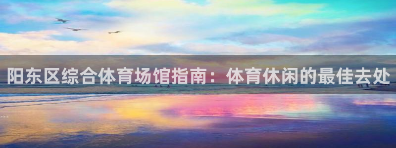 意昂体育3软件：阳东区综合体育场馆指南：体育休闲的最