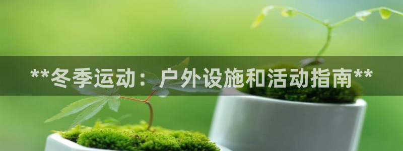 意昂3官网：**冬季运动：户外设施和活动指南**
