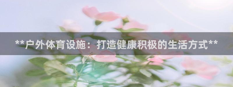 意昂体育3软件：**户外体育设施：打造健康积极的生活