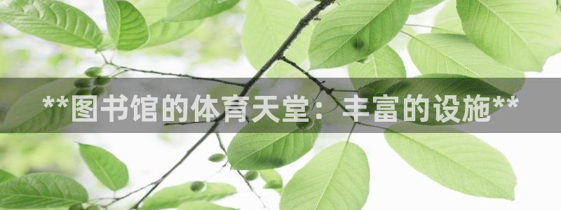 海南意昂体育3发展怎么样：**图书馆的体育天堂：丰富