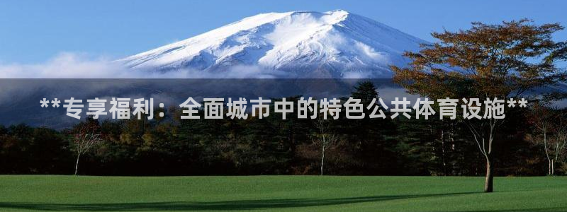 意昂体育3平台注册流程图：**专享福利：全面城市中的