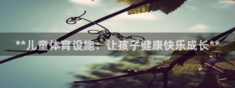 意昂3娱乐下载：**儿童体育设施：让孩子健康快乐成长