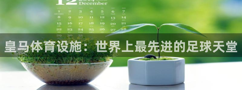 意昂体育3招商电话号码查询是多少：皇马体育设施：世界