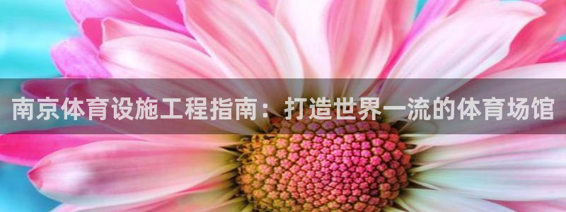 意昂3五金厂：南京体育设施工程指南：打造世界一流的体