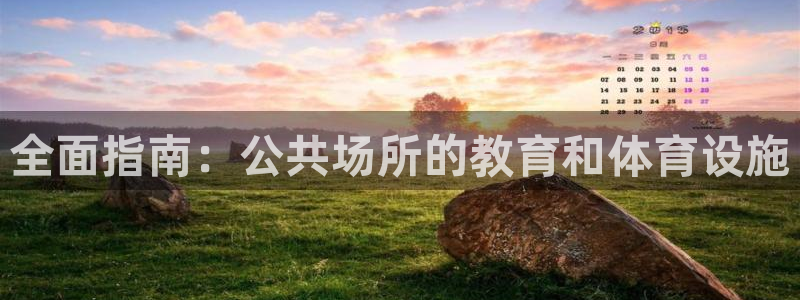 意昂体育3平台注册要钱吗安全吗：全面指南：公共场所的