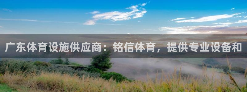意昂3娱乐首页官网下载：广东体育设施供应商：铭信体育