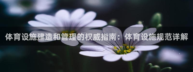 注册意昂3：体育设施建造和管理的权威指南：体育设施规