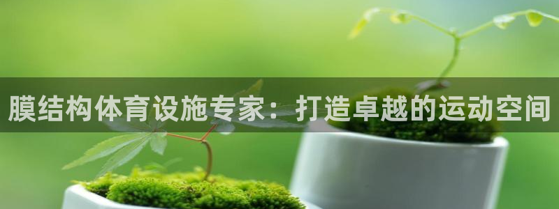 意昂3集团：膜结构体育设施专家：打造卓越的运动空间