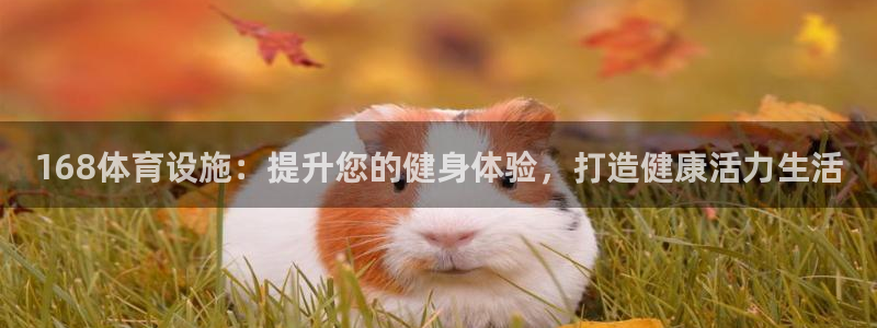 意昂3集团E.ON：168体育设施：提升您的健身体验