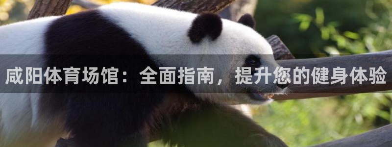 意昂体育3平台假的吗是真的吗吗：咸阳体育场馆：全面指