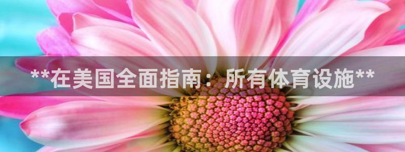 意昂3五金厂：**在美国全面指南：所有体育设施**