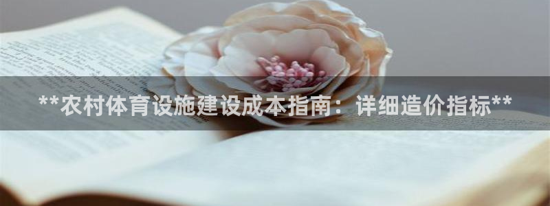 意昂3集团官网首页：**农村体育设施建设成本指南：详
