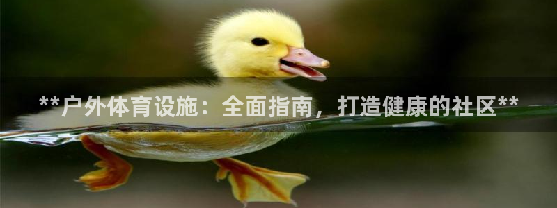 意昂3集团logo：**户外体育设施：全面指南，打造