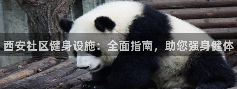 意昂3娱乐：西安社区健身设施：全面指南，助您强身健体
