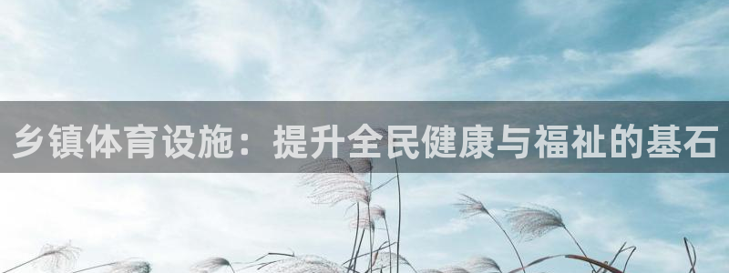 意昂体育3注册：乡镇体育设施：提升全民健康与福祉的基