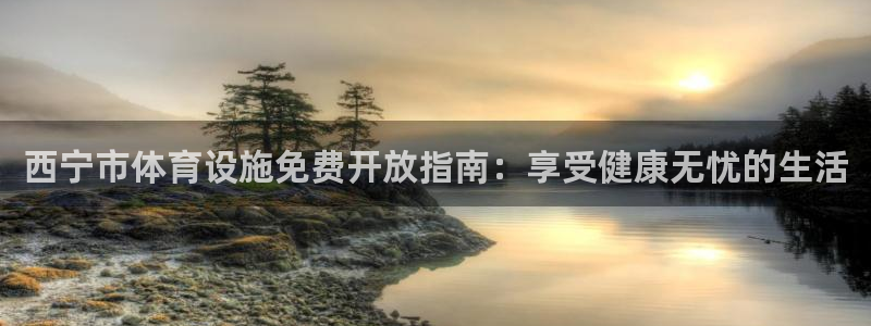 意昂体育3招商：西宁市体育设施免费开放指南：享受健康