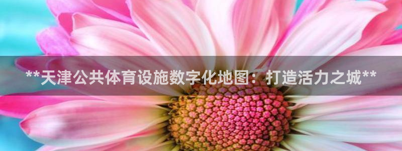 意昂体育3平台注册：**天津公共体育设施数字化地图：