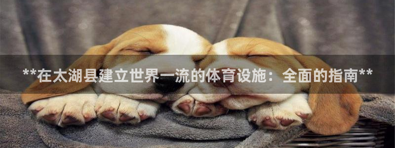 意昂3科技：**在太湖县建立世界一流的体育设施：全面