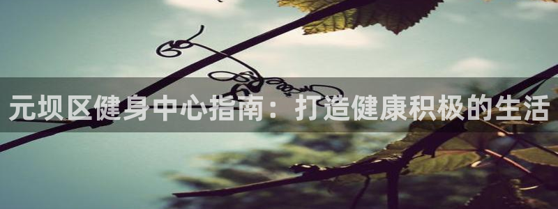 意昂体育3平台注册要钱吗：元坝区健身中心指南：打造健