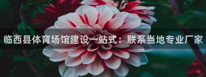 意昂体育3平台假的吗是真的吗吗：临西县体育场馆建设一
