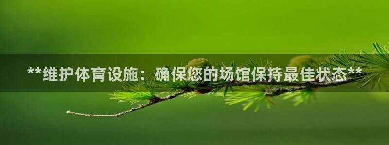 意昂平台体育：**维护体育设施：确保您的场馆保持最佳