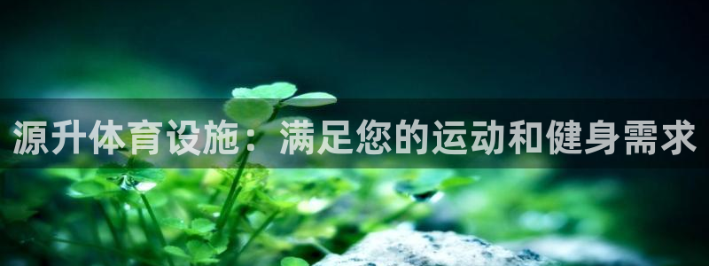 意昂体育3平台：源升体育设施：满足您的运动和健身需求
