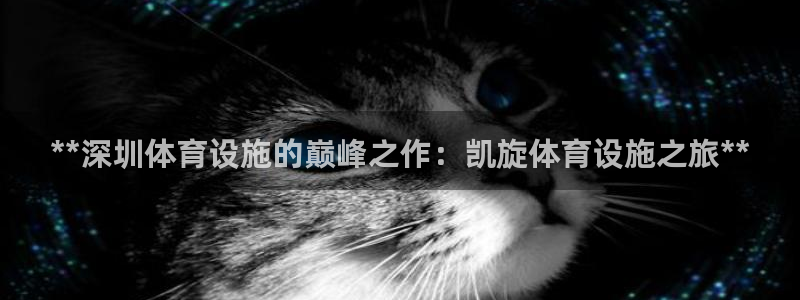 意昂3代理：**深圳体育设施的巅峰之作：凯旋体育设施