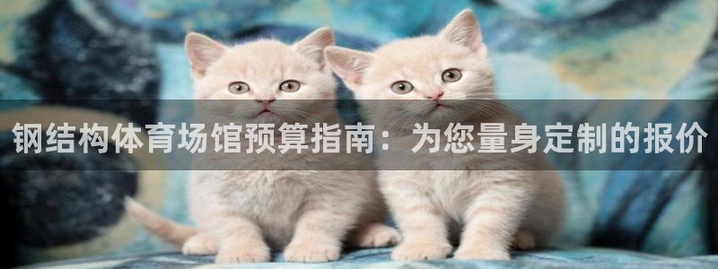 意昂体育3招商电话号码是多少啊：钢结构体育场馆预算指