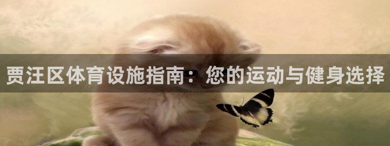 意昂3开户：贾汪区体育设施指南：您的运动与健身选择