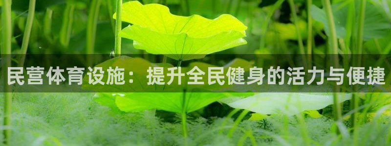 意昂体育3招商电话地址是多少：民营体育设施：提升全民