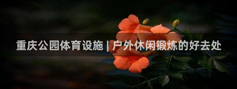 意昂3神州：重庆公园体育设施 | 户外休闲锻炼的好去