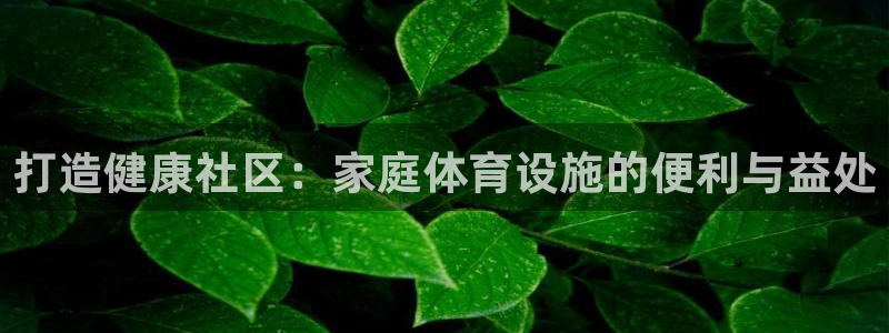 德国意昂3集团：打造健康社区：家庭体育设施的便利与益