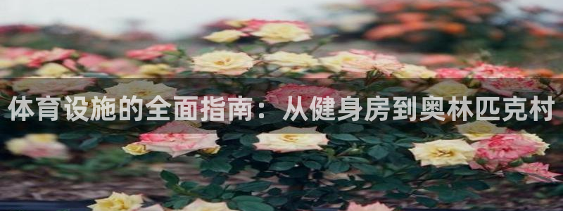 意昂体育3平台APP：体育设施的全面指南：从健身房到