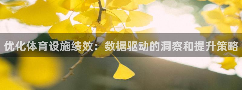 意昂3集团官网首页网址：优化体育设施绩效：数据驱动的