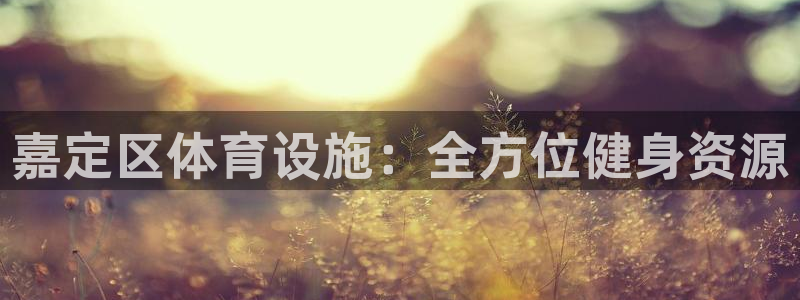 意昂3娱乐下载：嘉定区体育设施：全方位健身资源