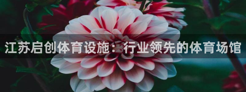 意昂体育3招商电话地址：江苏启创体育设施：行业领先的